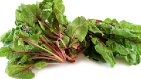 Lợi ích sức khỏe từ rau bina đỏ
